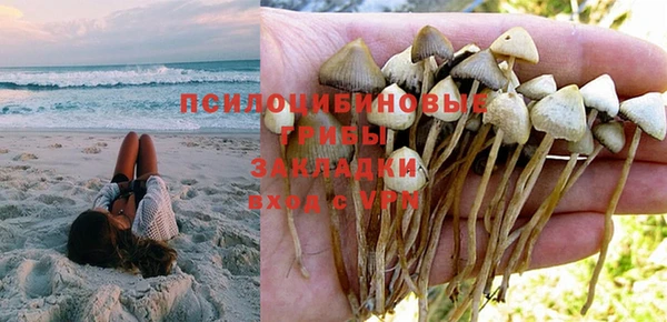 МДПВ Абдулино
