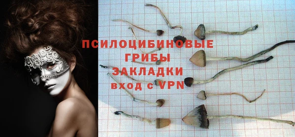 МДПВ Абдулино