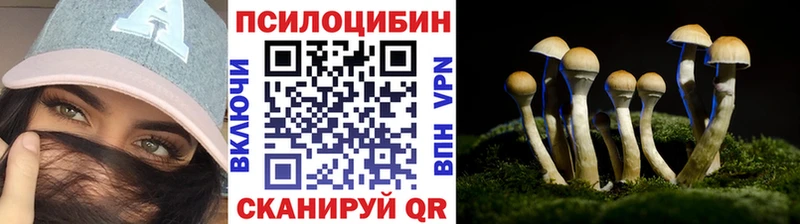 нарко площадка клад  Весьегонск  Псилоцибиновые грибы мицелий 